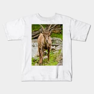 Baby Ibex Kids T-Shirt